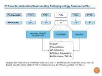 Evolution in Management of Pulmonary Arterial Hypertension (PAH)